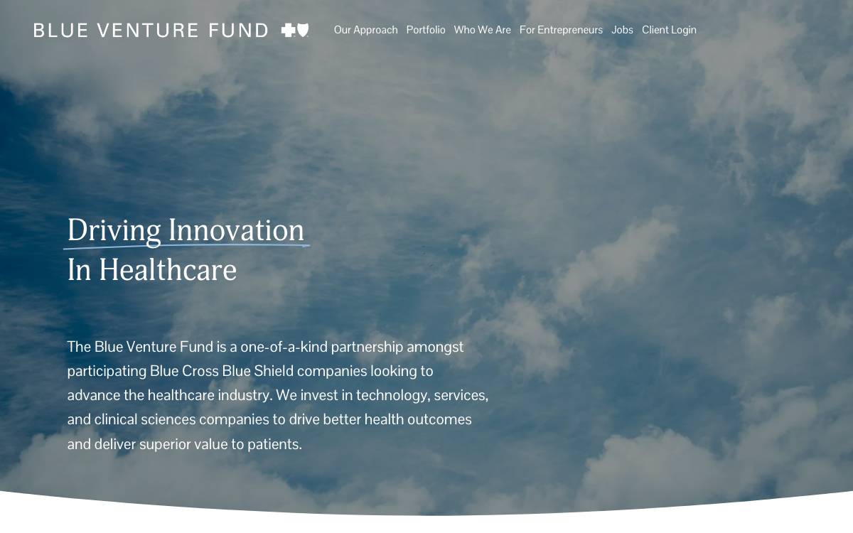 Blue Venture Funds website preview