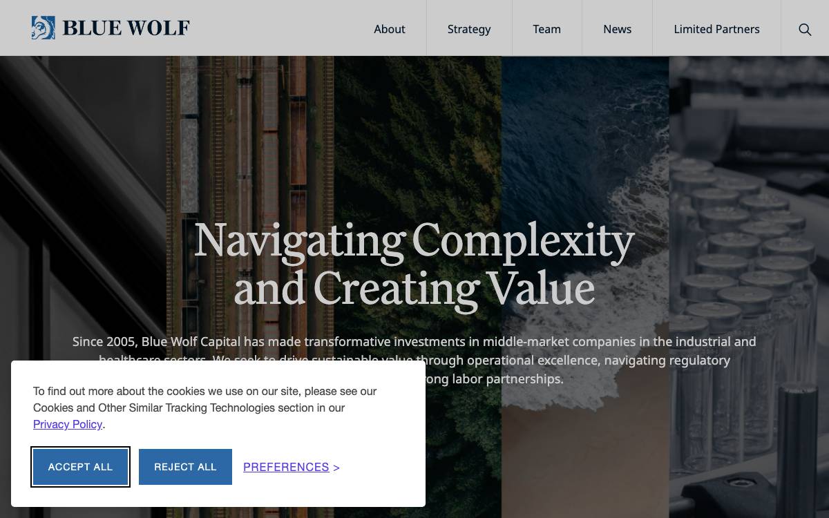 Blue Wolf website preview