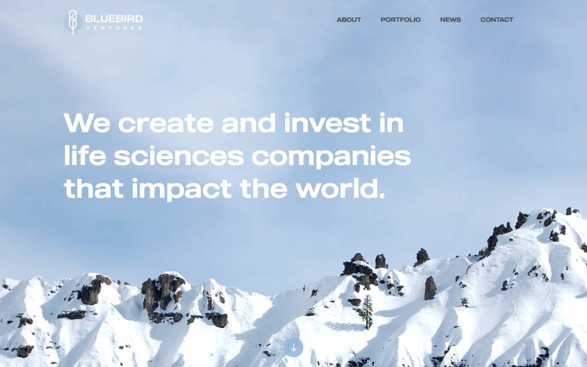 Bluebird Ventures website preview