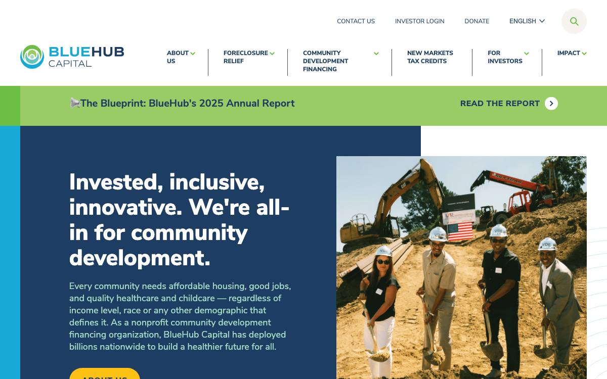 BlueHub Capital website preview