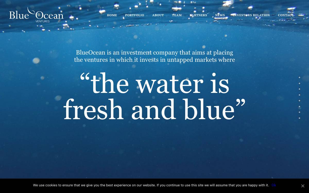 BlueOcean Ventures website preview
