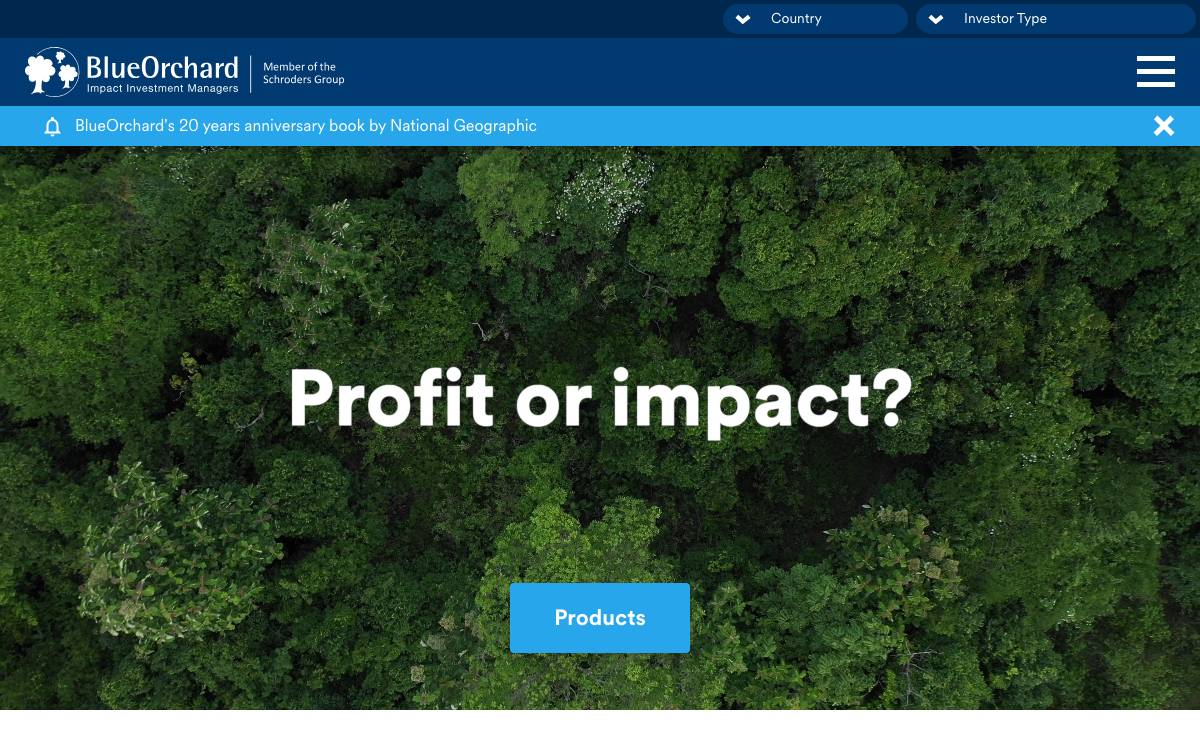 BlueOrchard Finance S A website preview