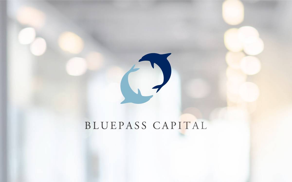Bluepass Capital website preview