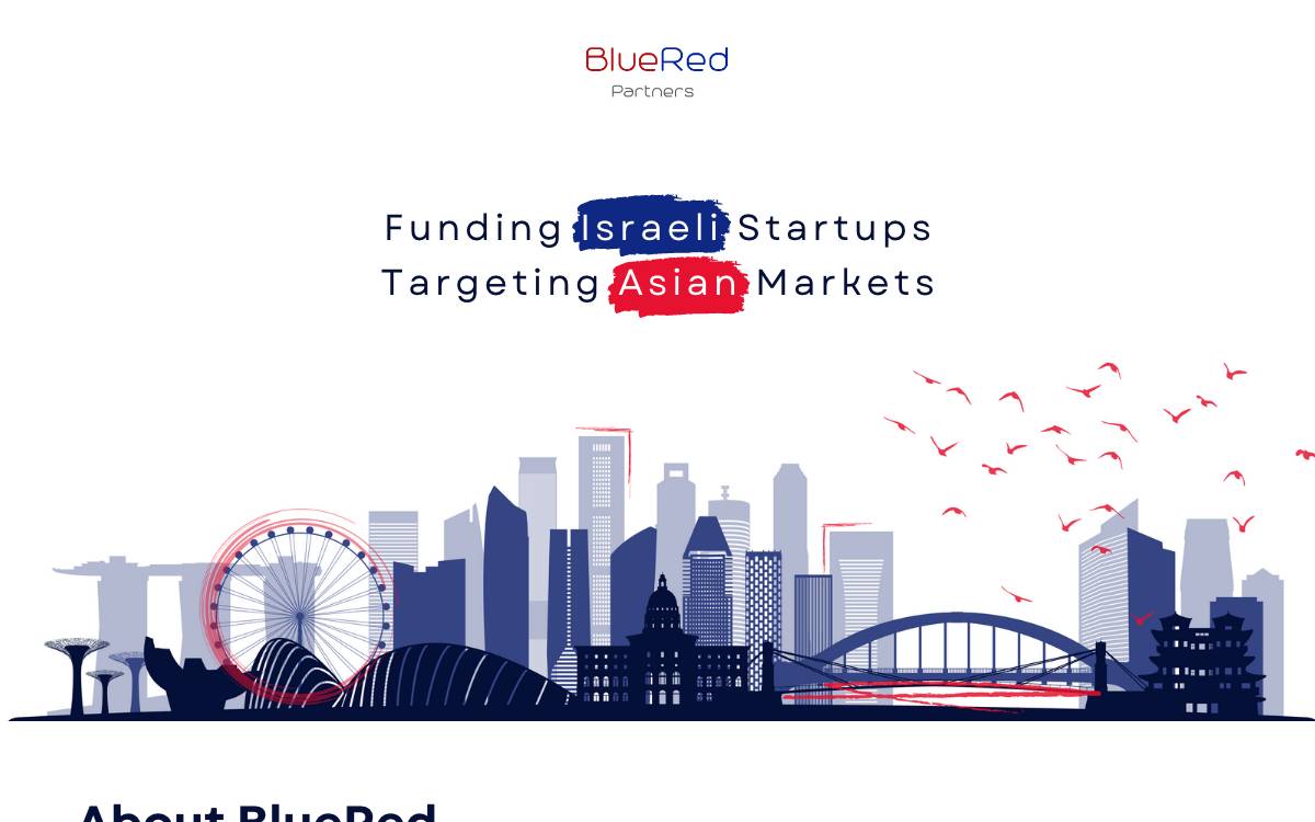 BlueRed Partners website preview