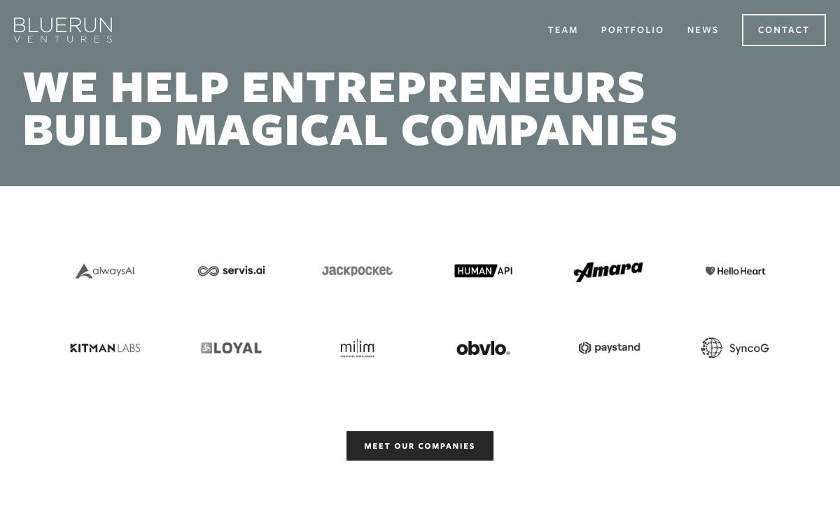 BlueRun Ventures website preview
