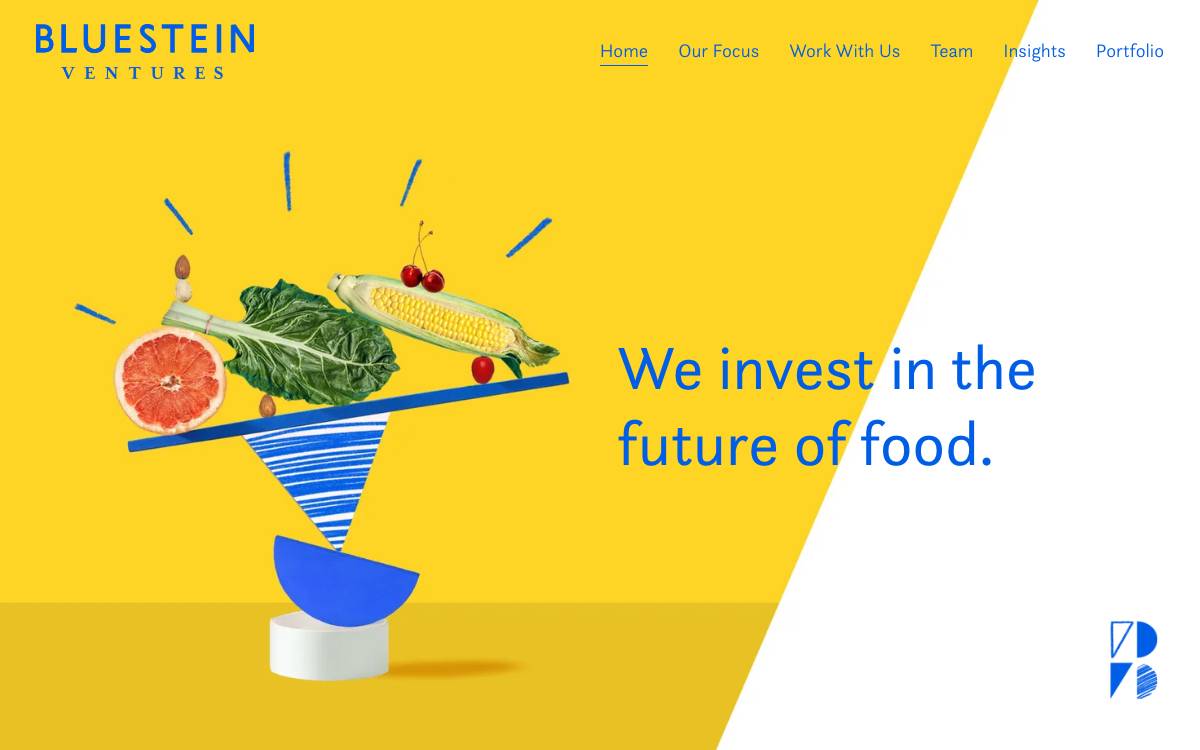 Bluestein Ventures website preview