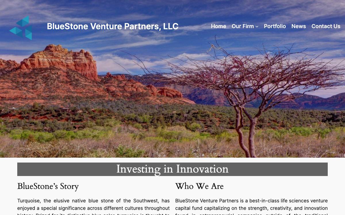 BlueStone Venture Partners website preview