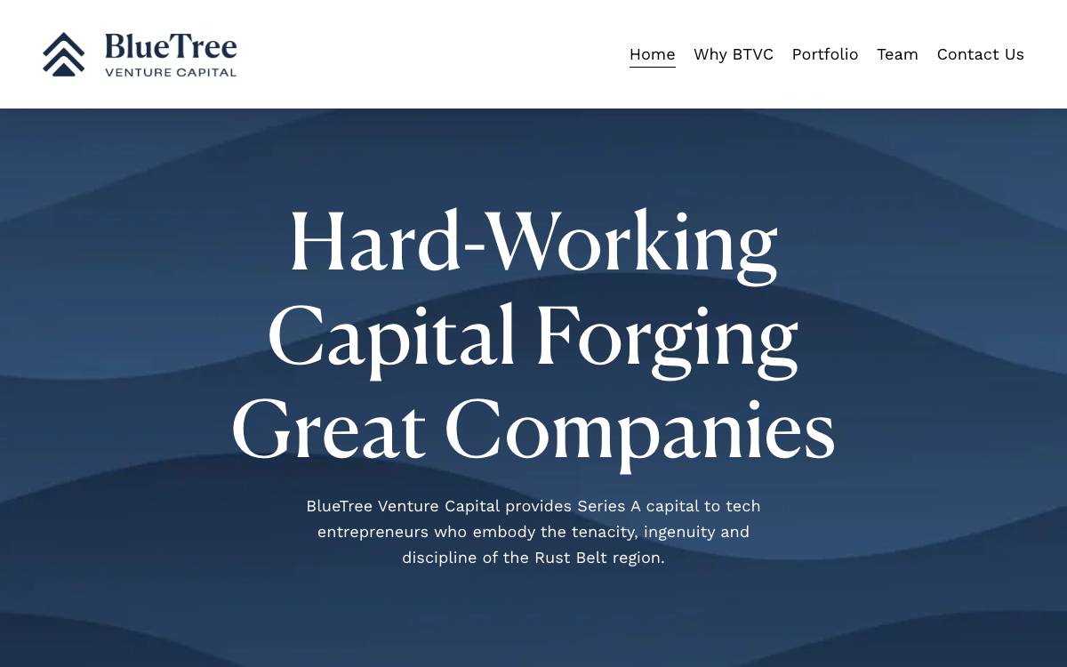 BlueTree Venture Capital website preview