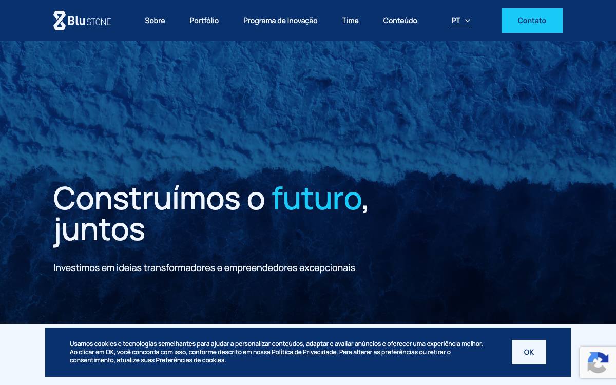 Blustone Capital website preview