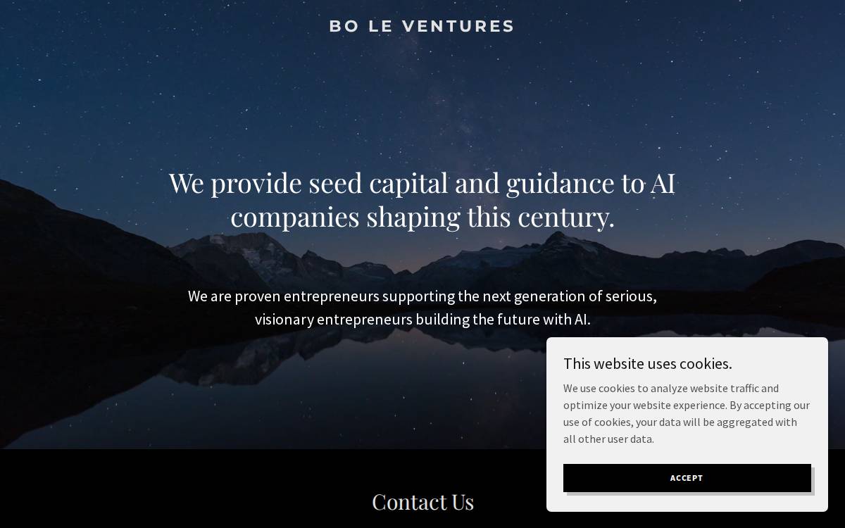 BO LE VENTURES website preview