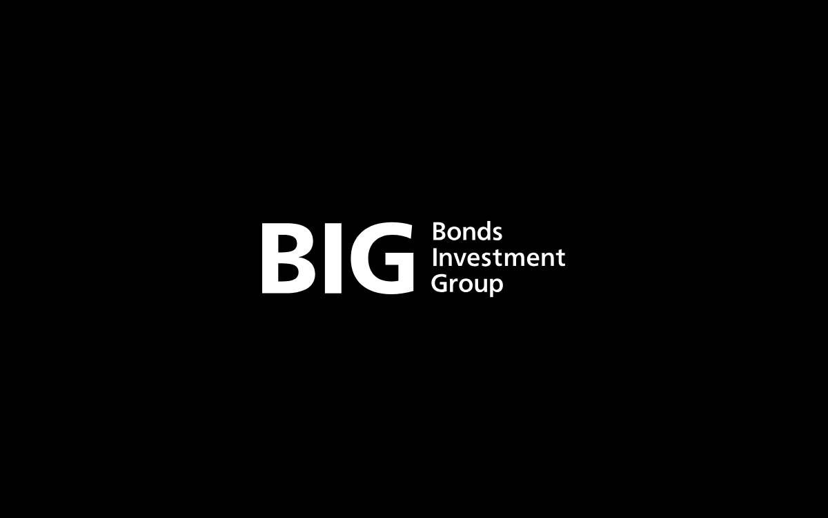 Bonds Investment Group website preview