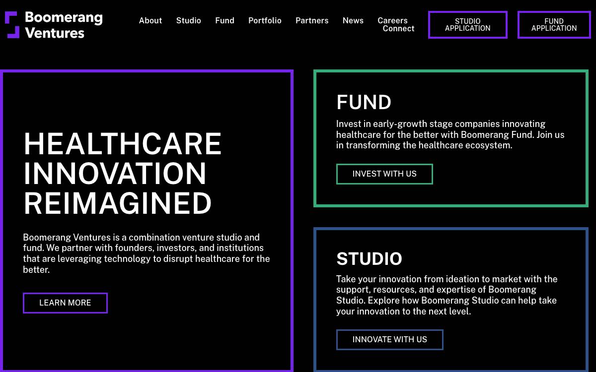 Boomerang Ventures website preview