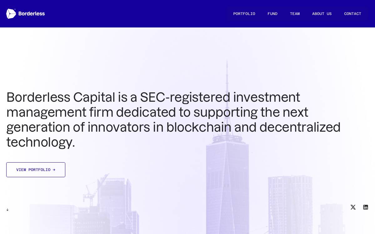 Borderless Venture website preview