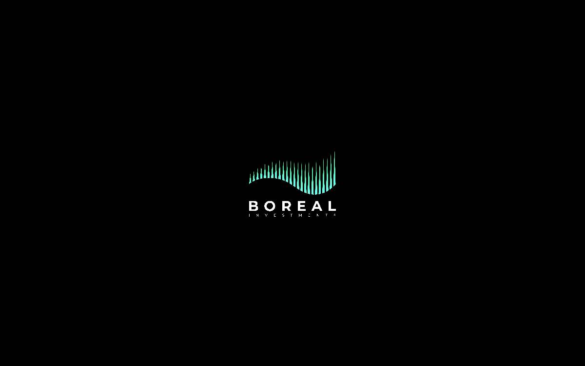 Boreal Investments website preview