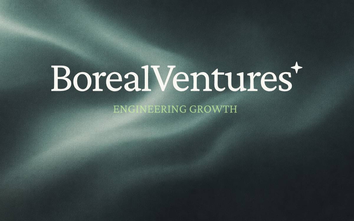 Boreal Ventures website preview