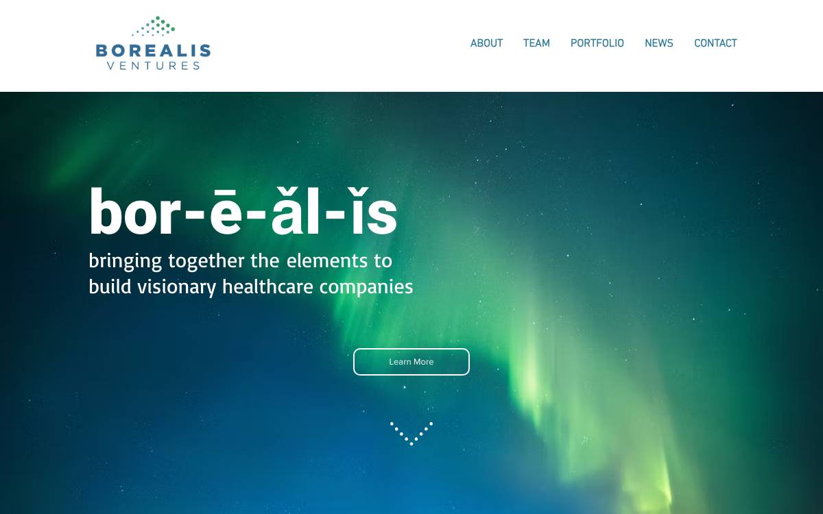 Borealis Ventures website preview