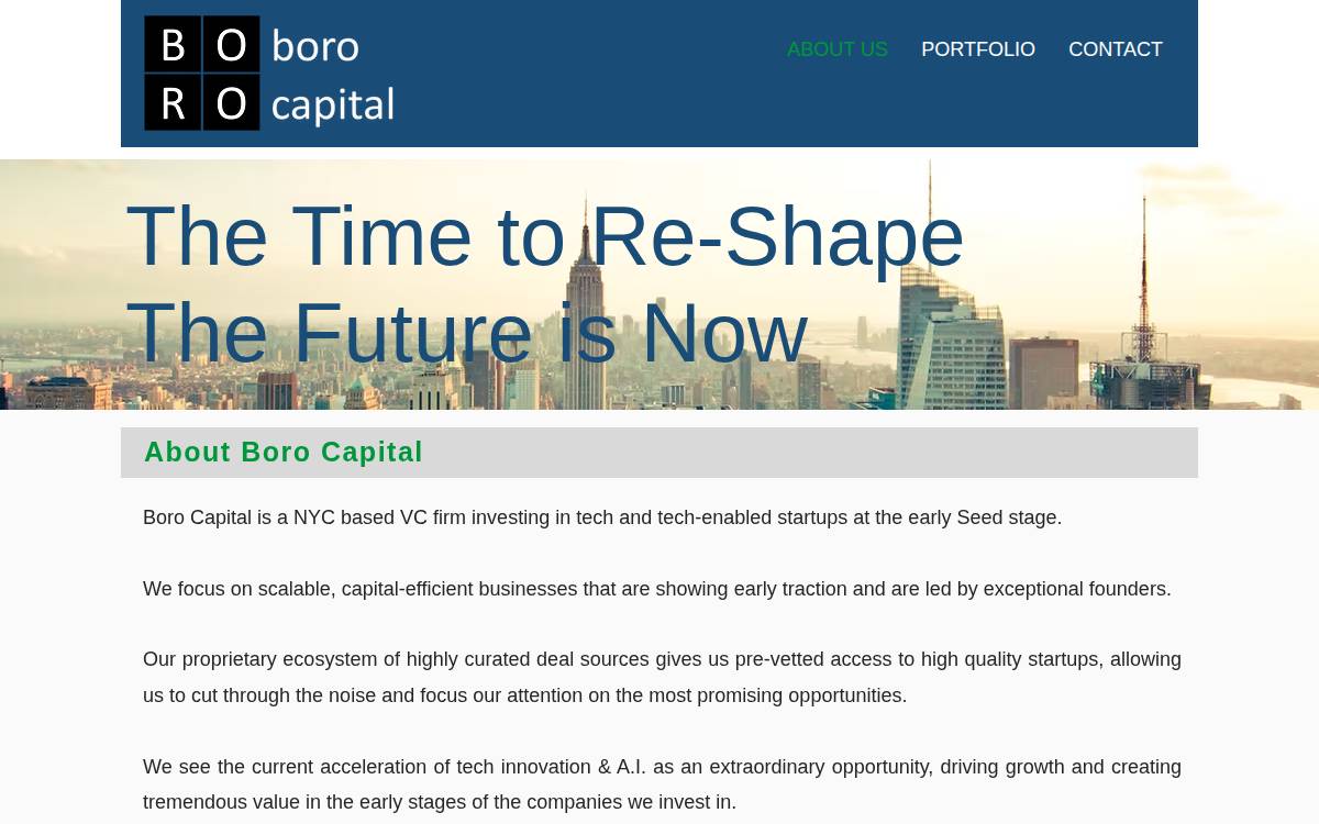 Boro Capital website preview