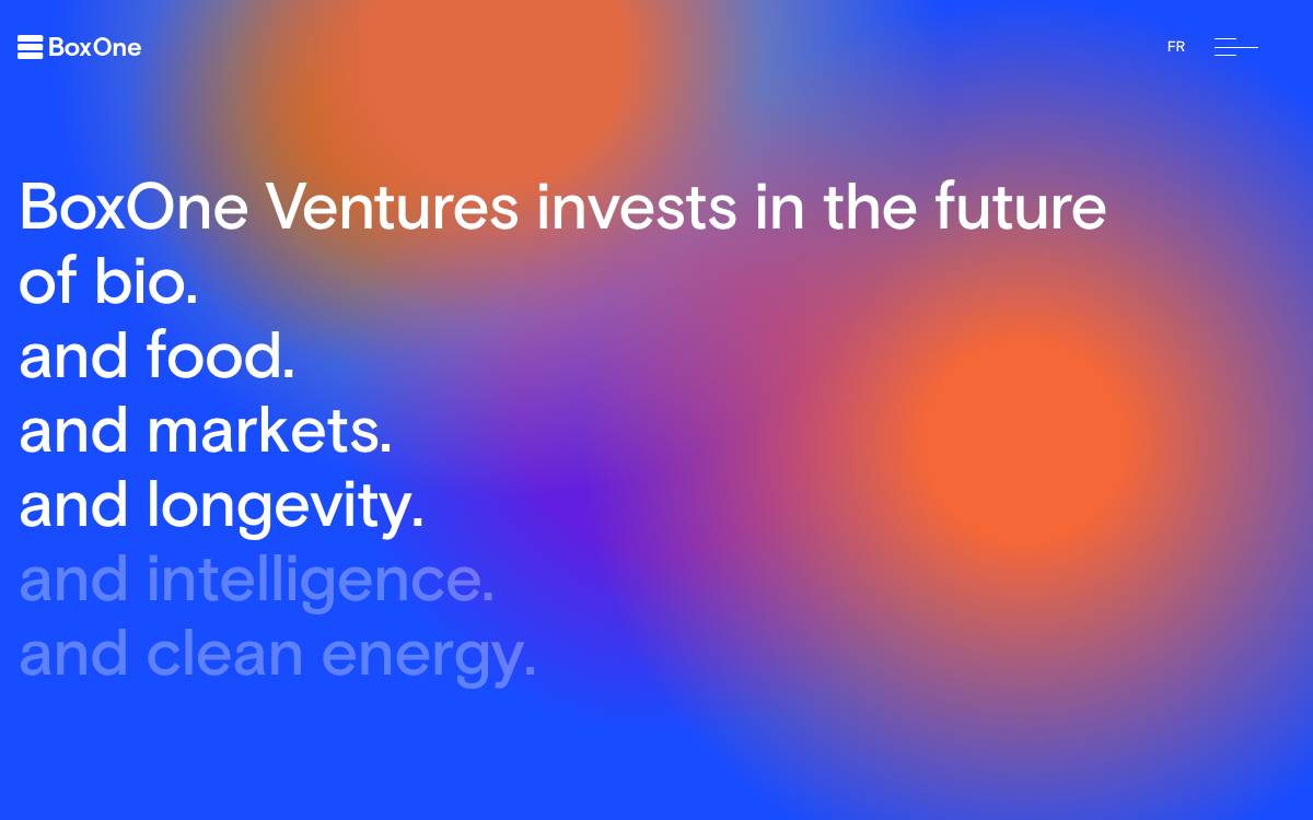 BoxOne Ventures website preview
