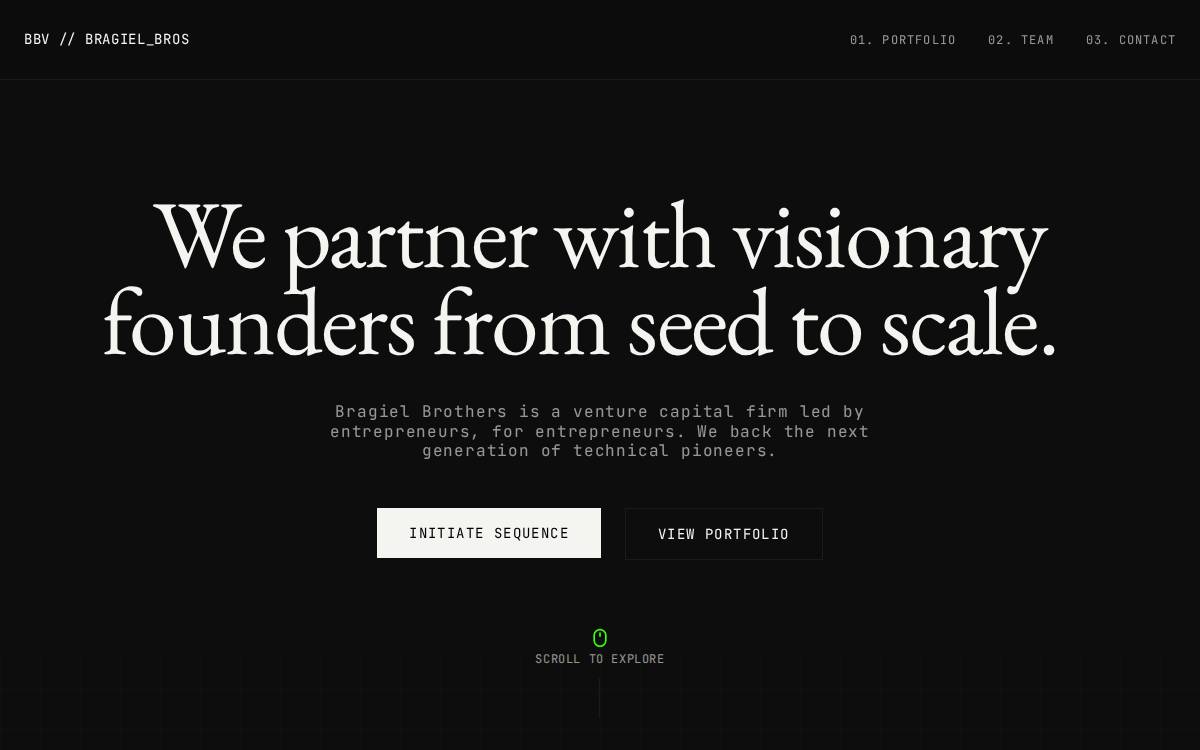 Bragiel Brothers website preview