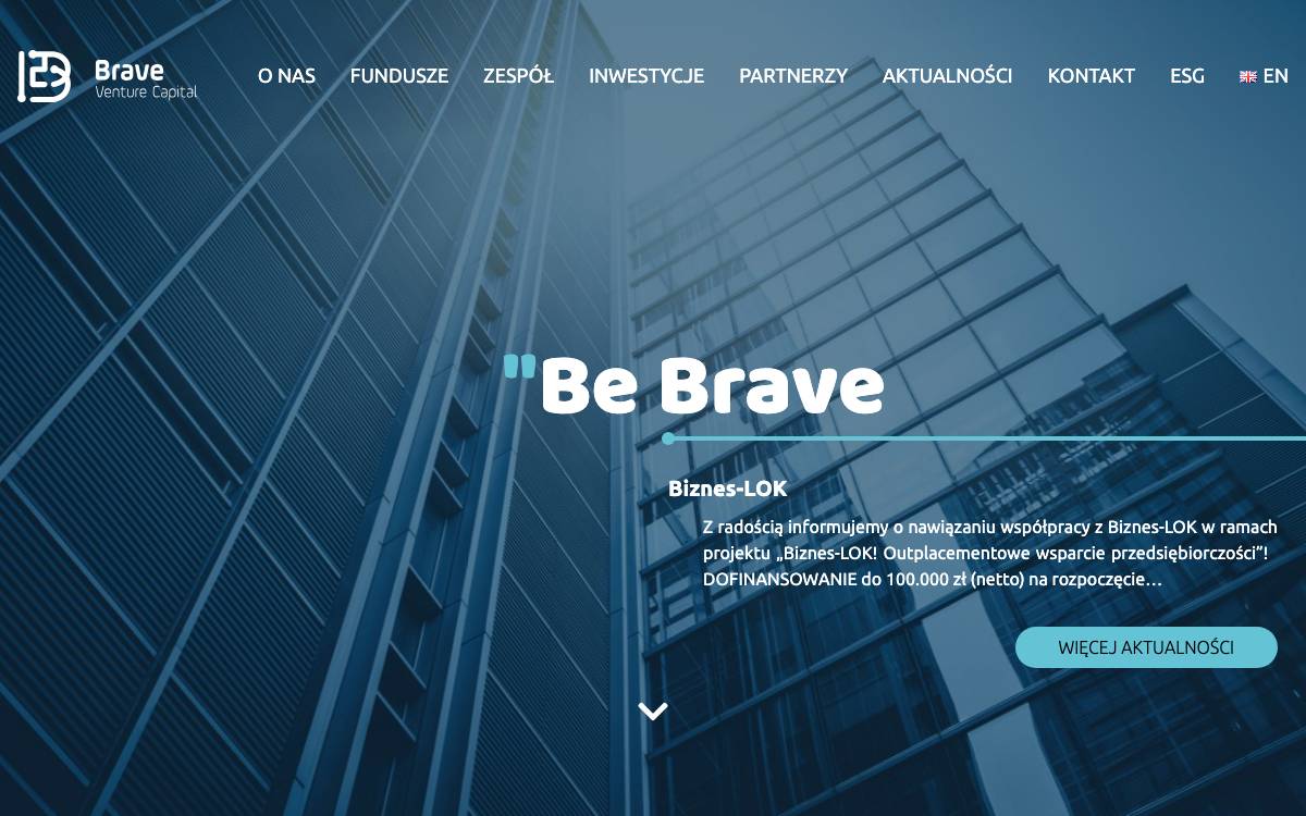 Brave Venture Capital website preview