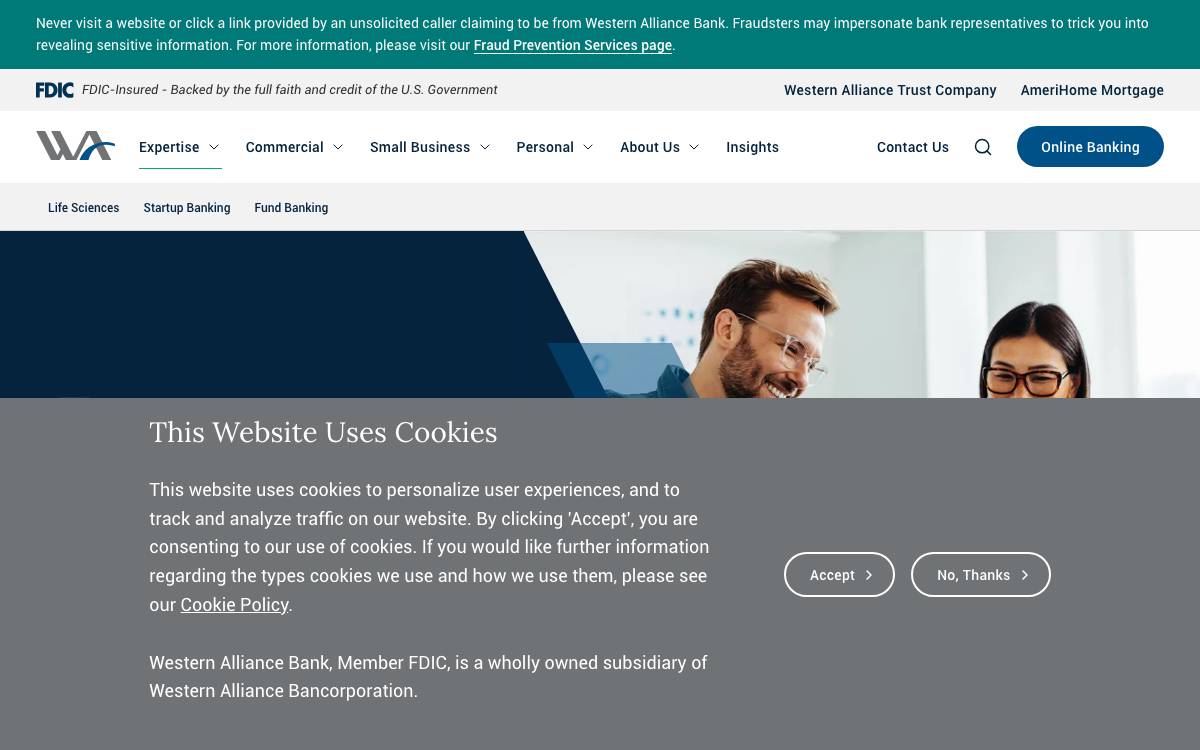 Bridge Bank website preview