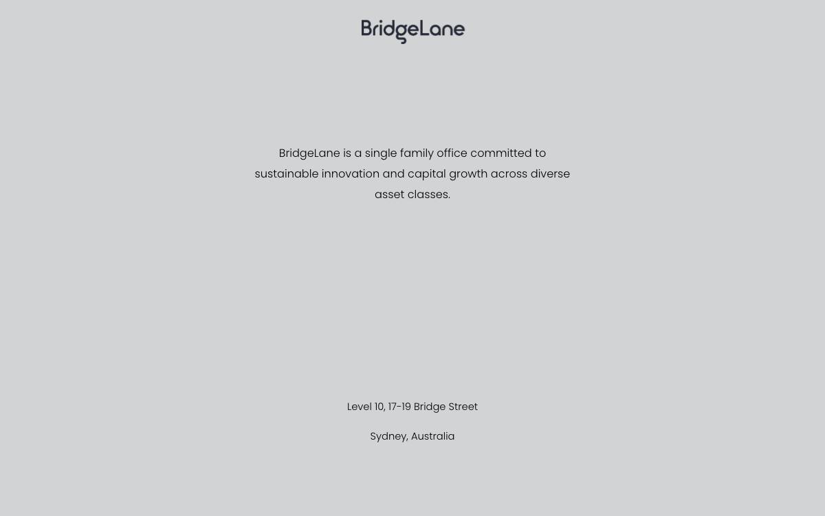 BridgeLane Group website preview