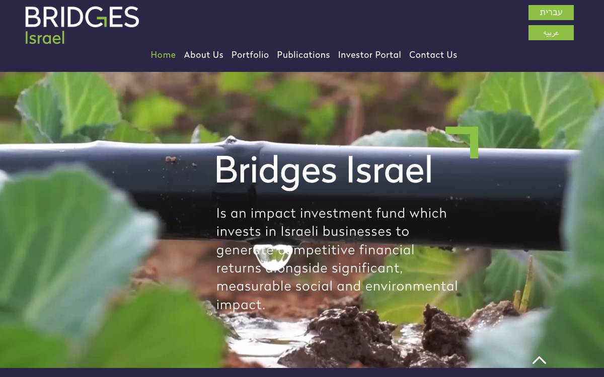 Bridges Israel website preview