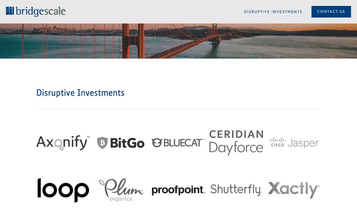 Bridgescale Partners website preview