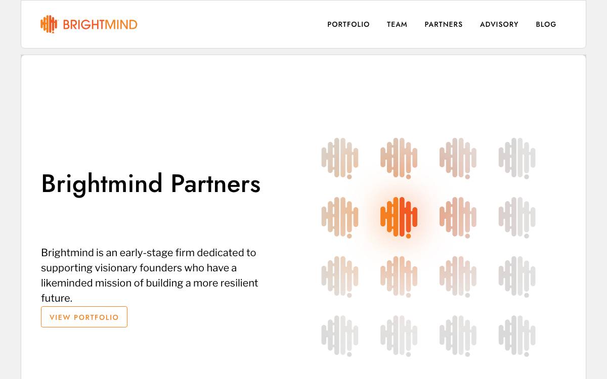 Brightmind website preview