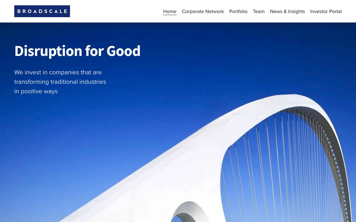 Broadscale website preview