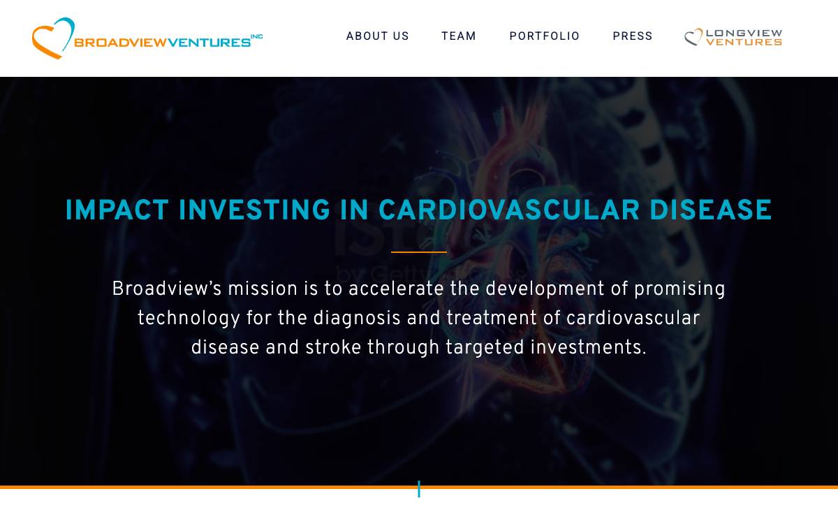 Broadview Ventures website preview