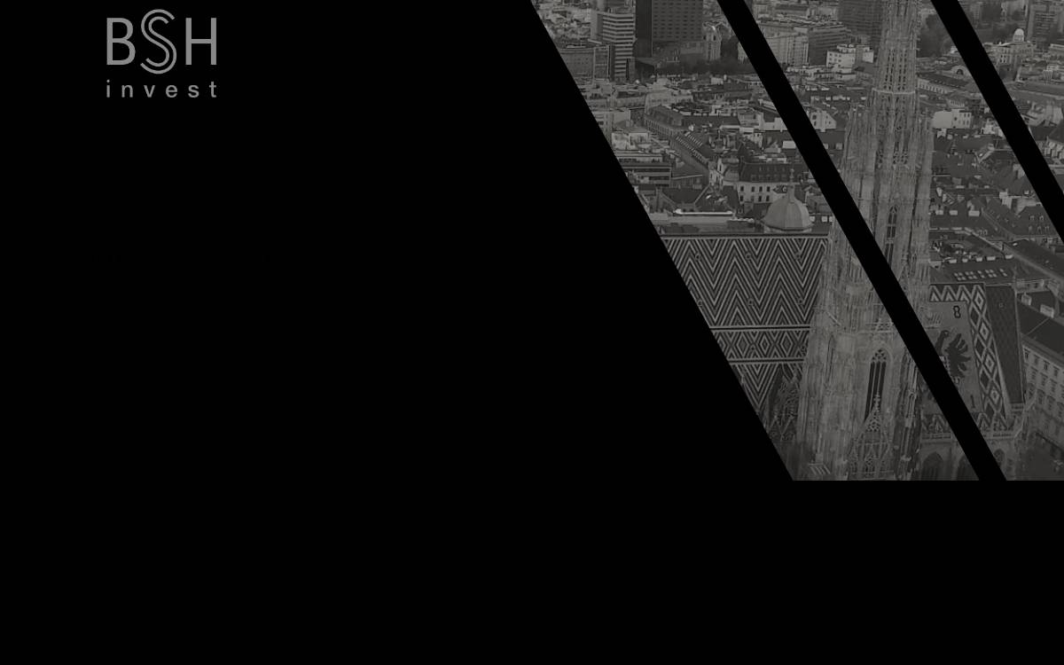 BSH Invest website preview