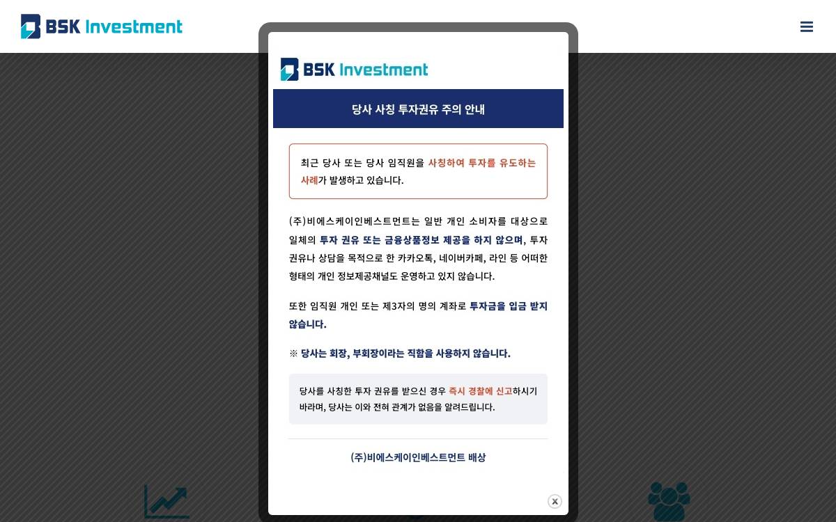 BSK Investment website preview