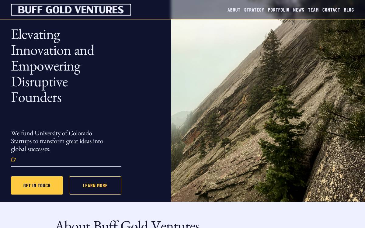 Buff Gold Ventures website preview