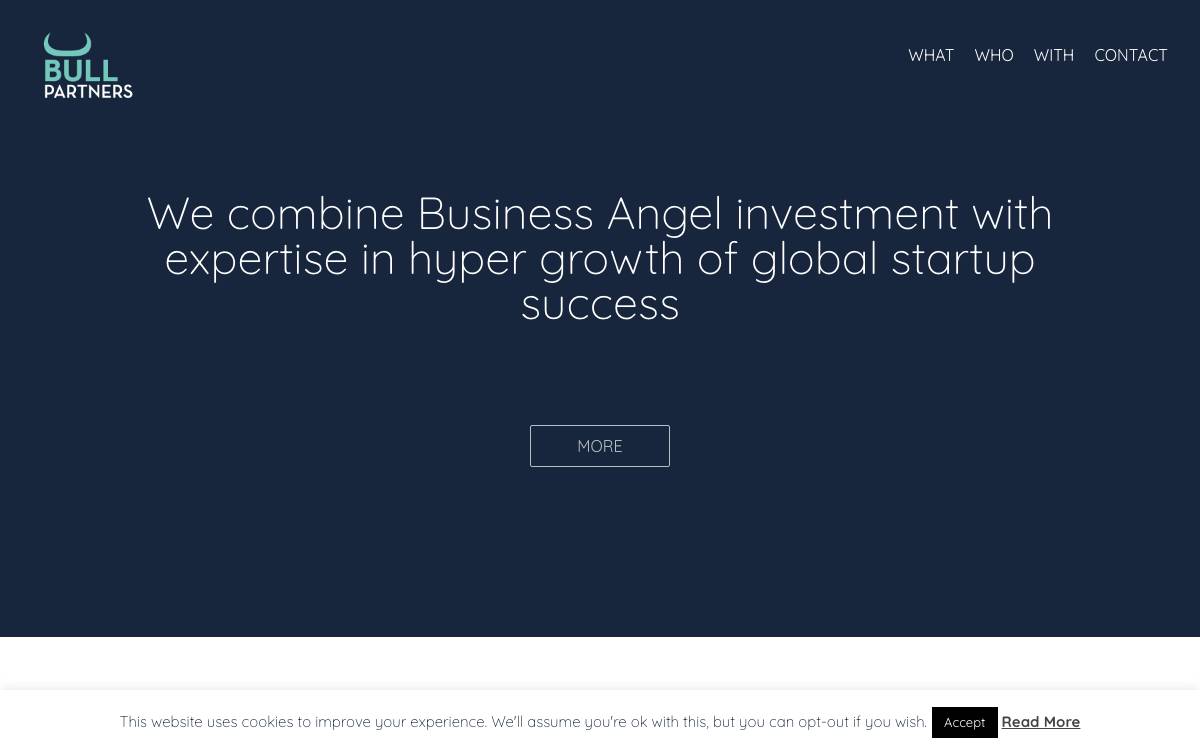 Bull Partners website preview