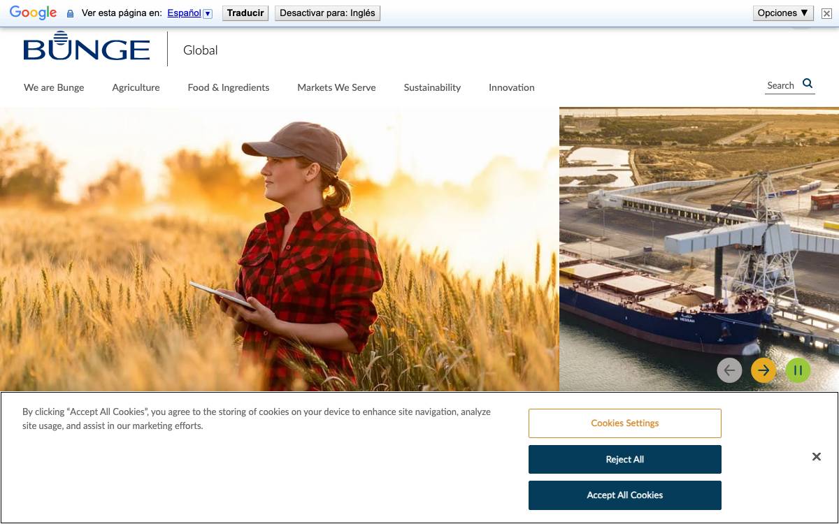 Bunge website preview