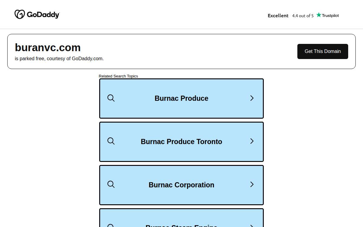 Buran Venture Capital website preview