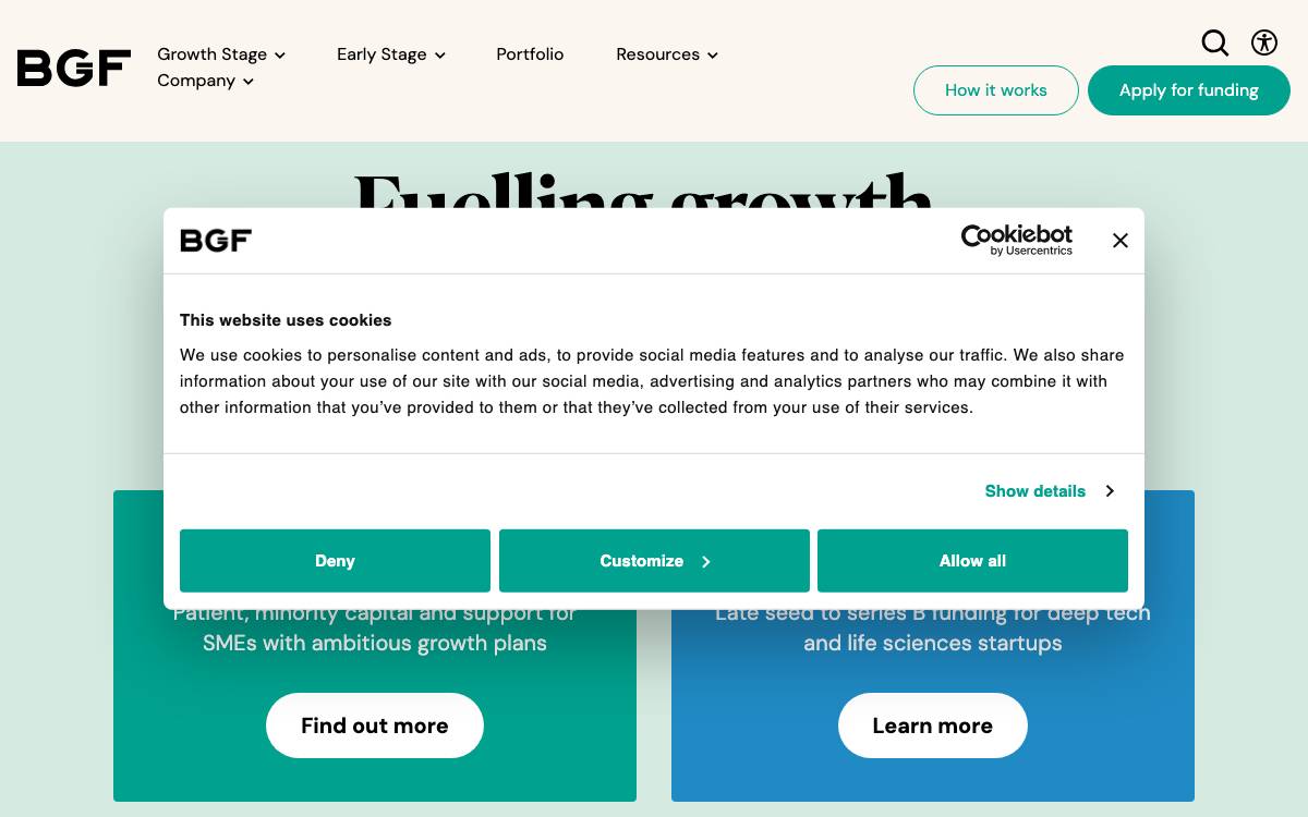 Business Growth Fund website preview