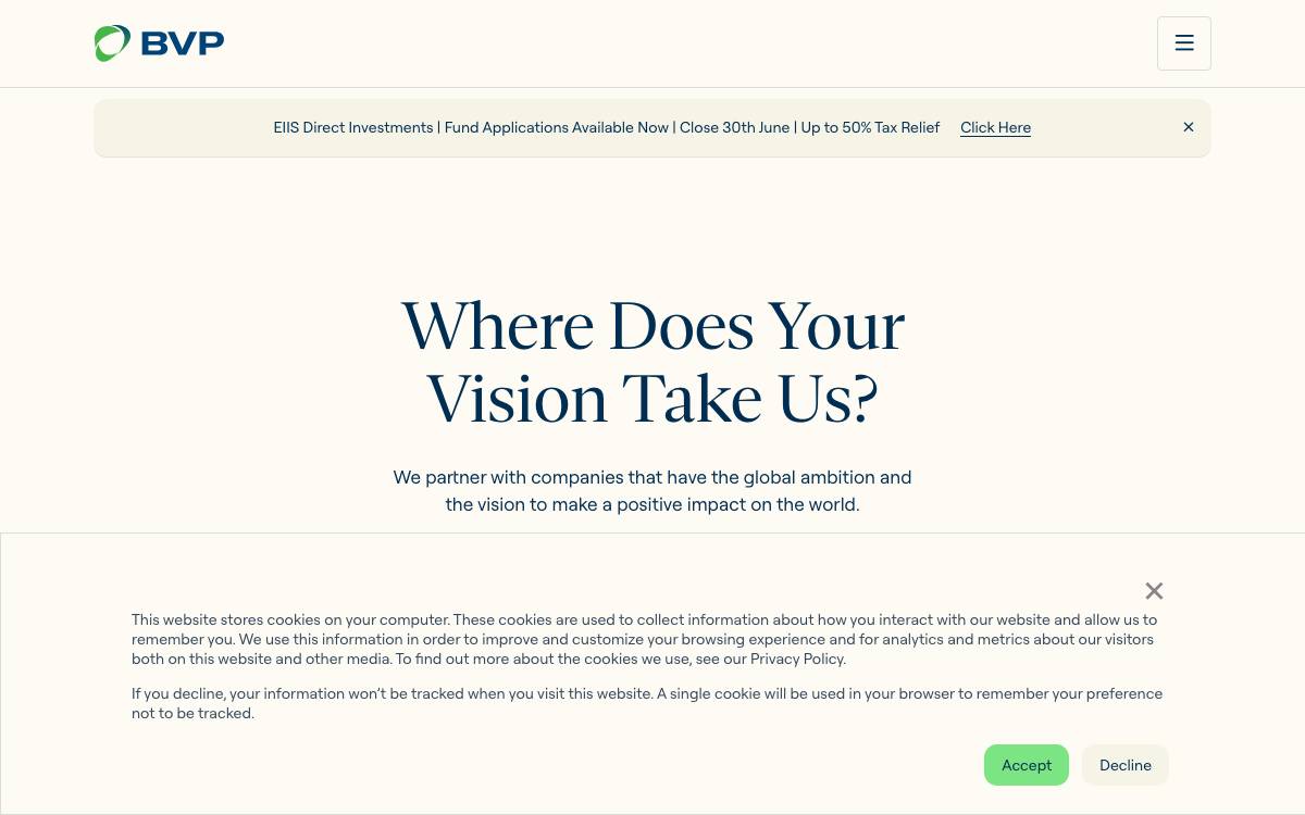 Business Venture Partners website preview