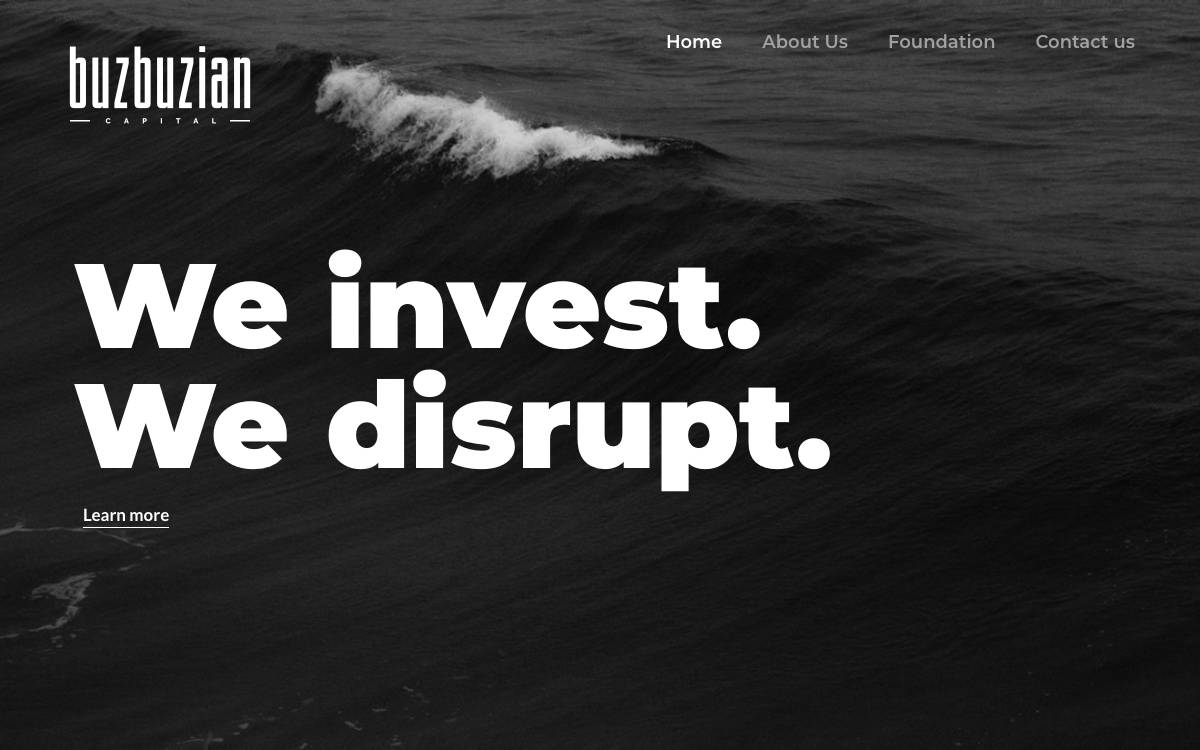 Buzbuzian Capital Corporation website preview