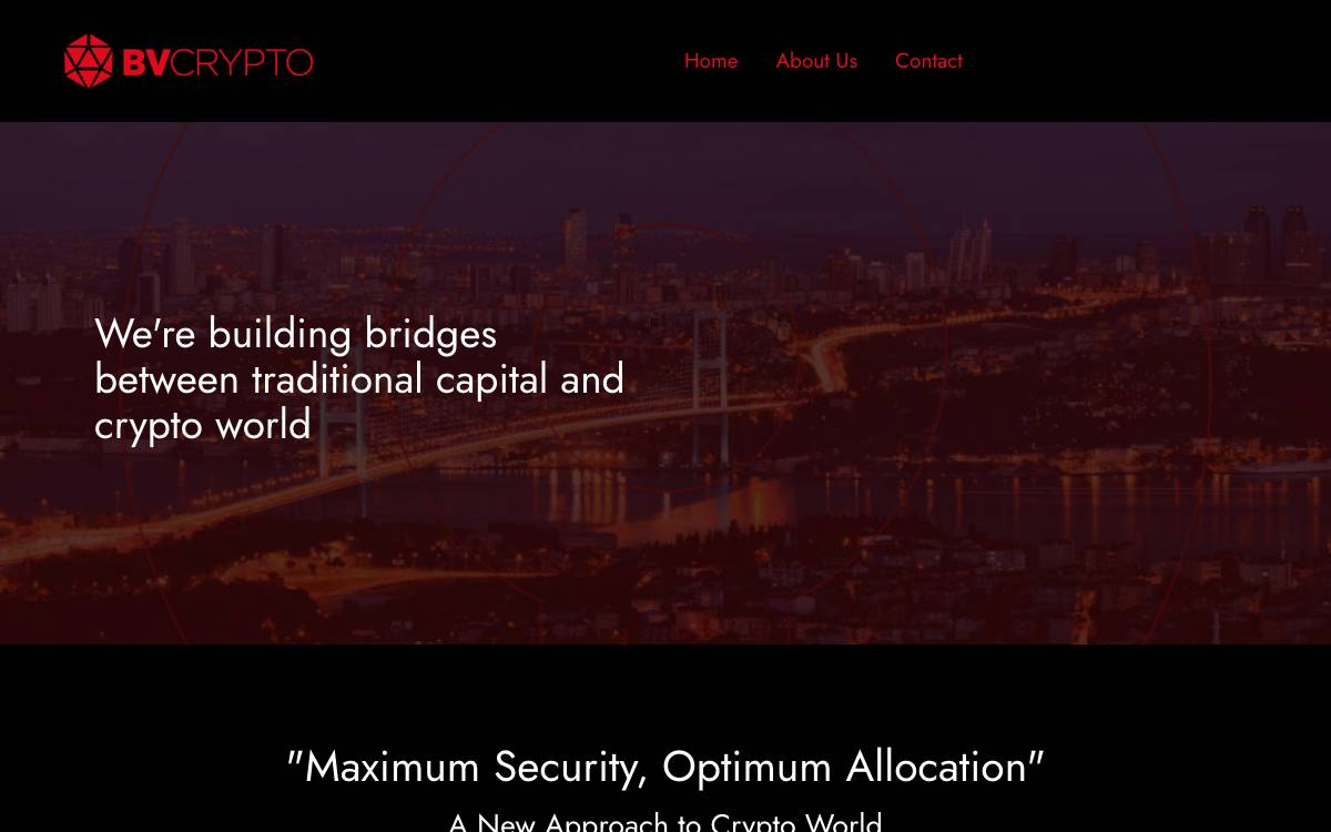 BV Crypto website preview