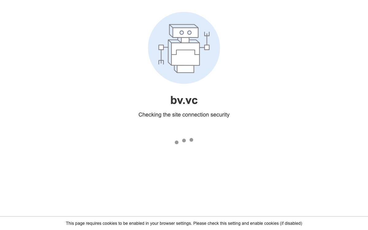 BVVC website preview