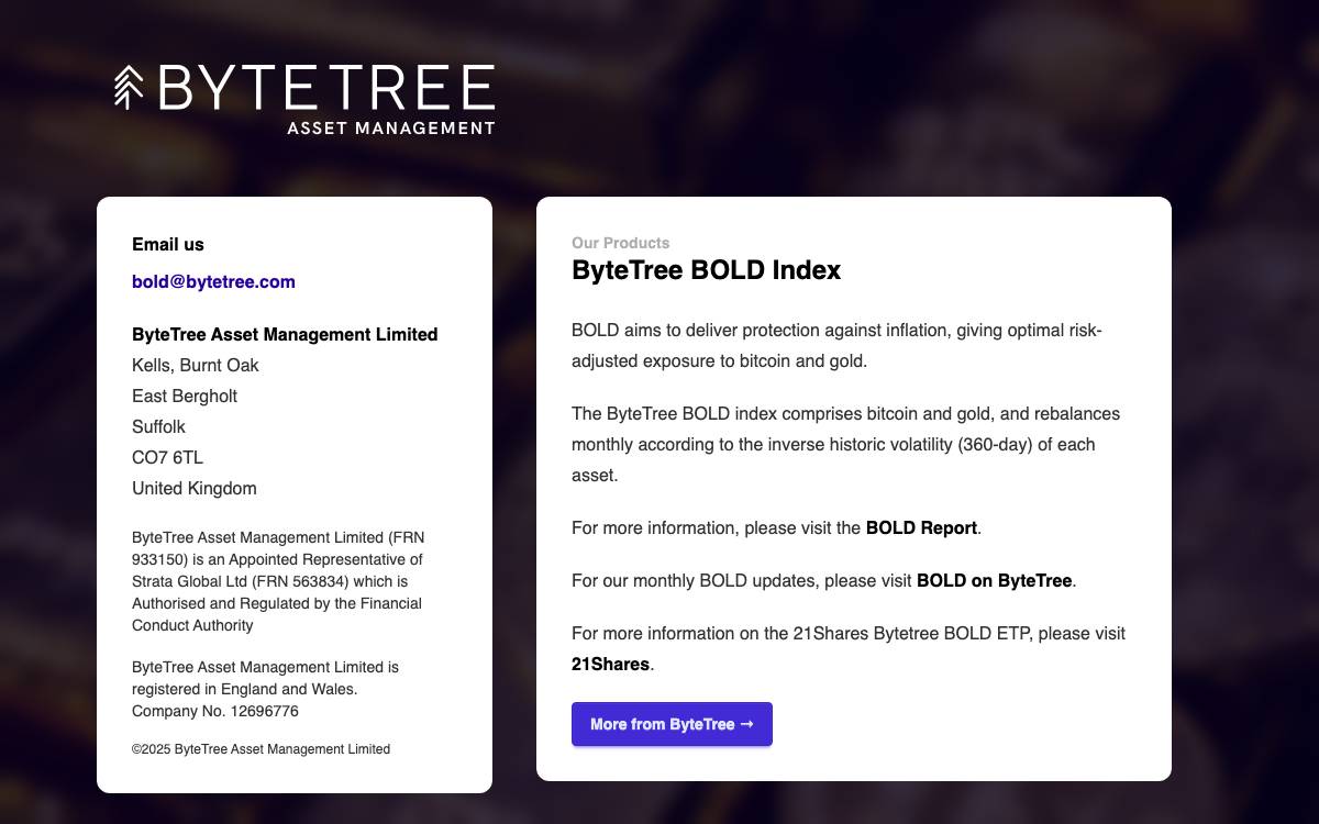 Bytetree Asset Management website preview