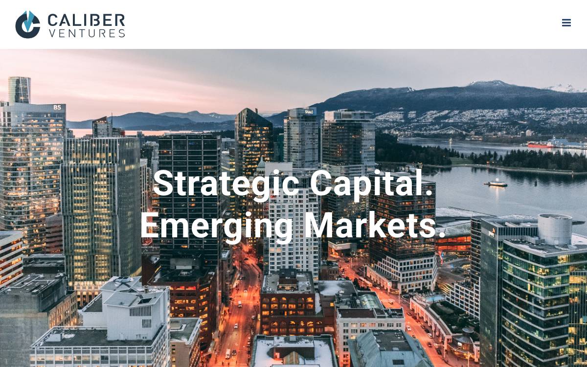 Caliber Ventures website preview