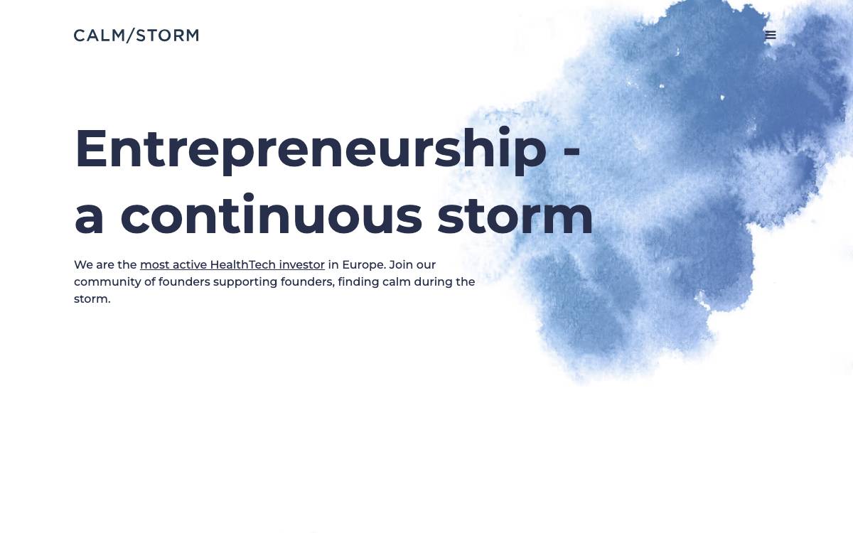Calm/Storm VC website preview
