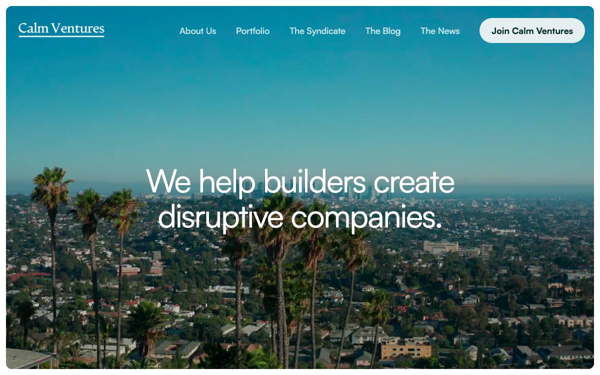 Calm Ventures website preview