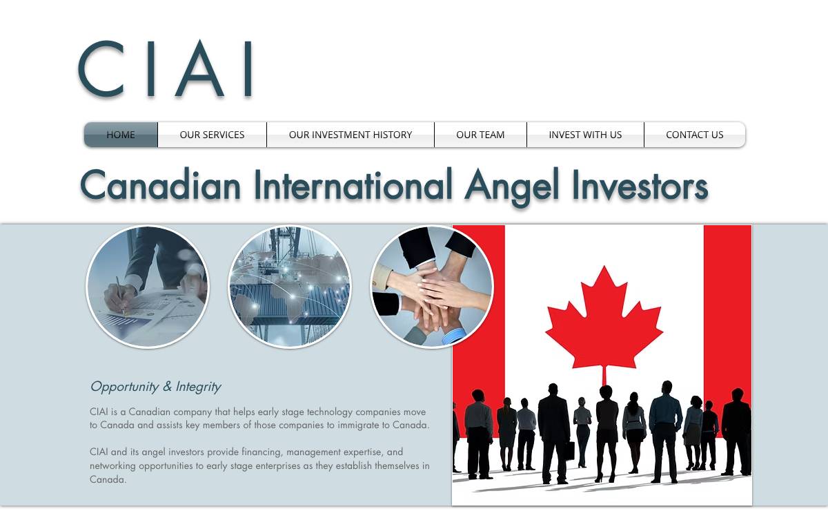 Canadian International Angel Investors website preview