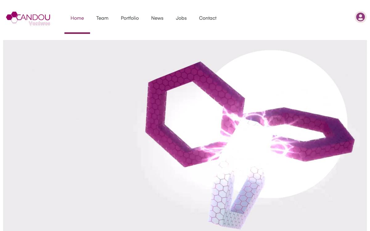Candou Ventures website preview