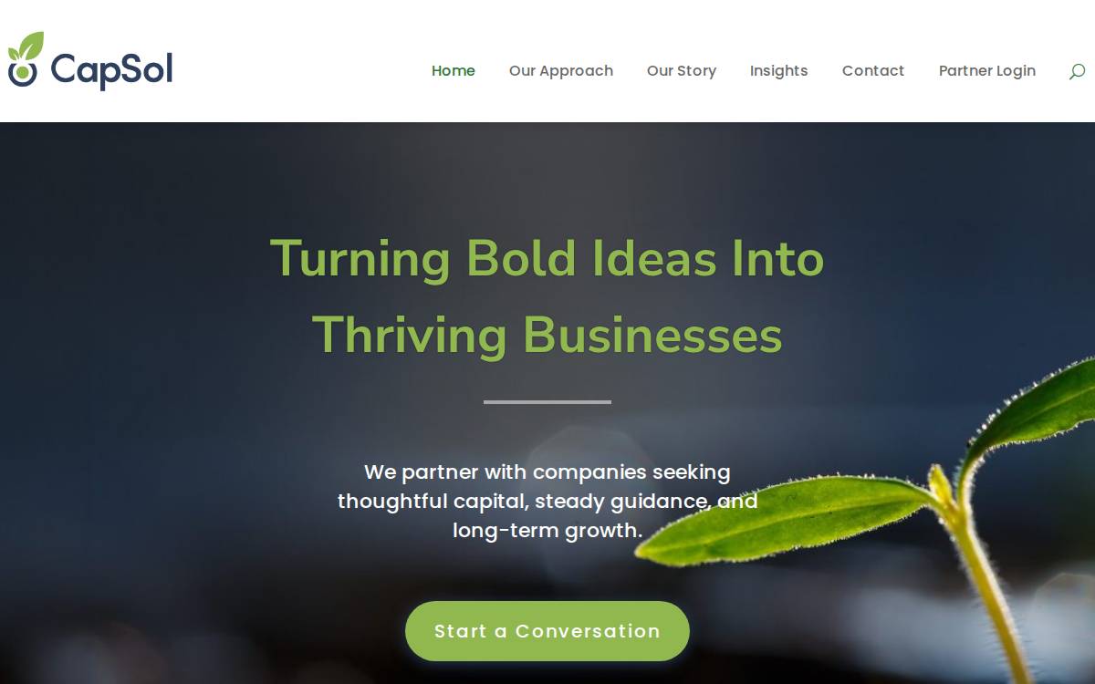 CapSol Capital Solutions website preview