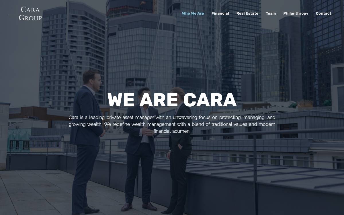 Cara Group website preview